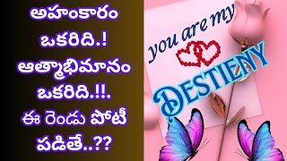 యూ ఆర్ మై డెస్టినీ -50🎇భార్య భర్తల అల్లరి ప్రేమ కథ/లవ్ / రొమాన్స్ /కామెడీ