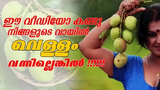 ഈ വീഡിയോ കണ്ട് നിങ്ങളുടെ വായിൽ വെള്ളം വരും || #Pachamanga