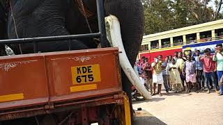 Mullathu kailas Mass Entry at Elamkulam vayalil Thrikovil 2018