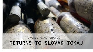 Exotic Wine Travel Returns To Slovak Tokaj