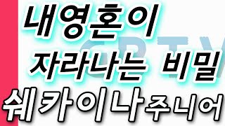 내 영혼이 자라는 비밀 - 기쁨 어린이워십선교단 (쉐카이나 주니어) -