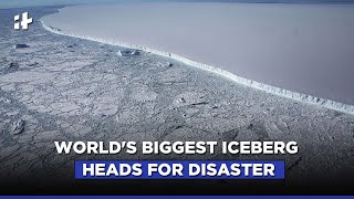 Iceberg A-68: The World’s Biggest Iceberg Is Headed for a Disastrous Collision