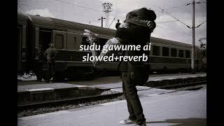 සුදු ගවුමේ ඇයි මඩ ගෑවුනේ || sudu gawume ai || slowed+reverb@Reverb