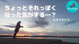 【釣り初心者の成長日記#2】成長を感じられるとより楽しくなる