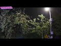 【北京路灯下的雨景】孤零零的路灯下，雨不停的下着，润湿了你的心灵，带你快速进入梦乡。（10小时）