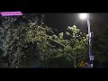 【北京路灯下的雨景】孤零零的路灯下，雨不停的下着，润湿了你的心灵，带你快速进入梦乡。（10小时）