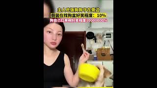 社会百态 | 主人吃饭狗狗守在旁边，狗狗一直摇尾巴应该代表它很享受这种节奏