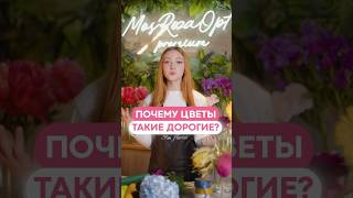 Разберемся, почему цветы такие дорогие? #flovers #цветы