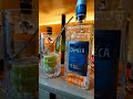 the best tequila highball cocktails recipe