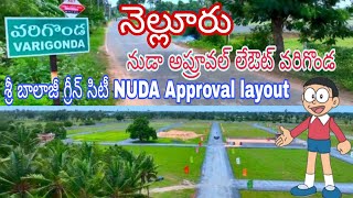 #Nellore #NUDA Approval layout #శ్రీ బాలాజీ గ్రీన్ సిటీ వరిగొండ  మెయిన్ రోడ్డు లేఅవుట్ 8919348513