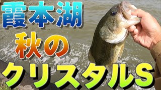 王道中の王道スピナーベイトで霞ヶ浦本湖を斬る