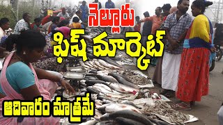 నెల్లూరు లో ఆదివారం మాత్రమే దొరికే ఈ చేపలు | Fish Market in Nellore|  #indianstreetfood #foodcrafts