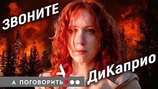 Кто спасёт сибирские леса от пожара? // А поговорить?..