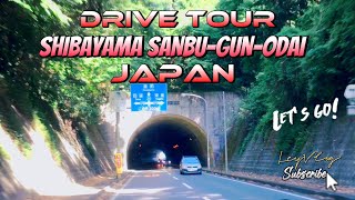 DRIVE TOUR SHIBAYAMA SANBU-GUN-ODAI JAPAN | LEY VLOG