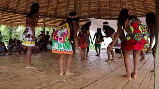 Danza del Pato - Embera Dobida