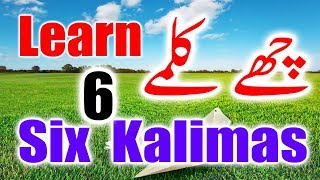 Six 6 Kalimas in Islam in Arabic, English & Urdu   Learn Six Kalimas   Beautiful Zikir & Dua   YouTu
