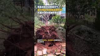 南昌凌晨突迎雷暴天气，窗户爆裂、大树被连根吹倒，大量空调外机被吹移位｜中国大陆 气象 #shorts