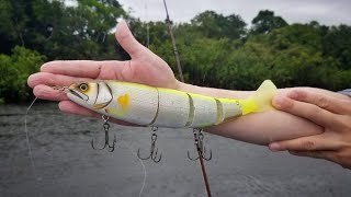 IS A $150 LURE WORTH THE MONEY? Fishing in Amazon [ENG CC]