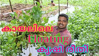 Floating farm കൃഷി രീതി