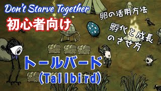 【Don't Starve Together】初心者向け 解説  トールバード（Tallbird）と卵活用方法 ～料理や孵化への使い道～【ドンスタ 】