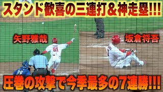 ラストにトドメの３連打！矢野雅哉のタイムリーに坂倉将吾が気迫の神走塁で勝負を決める！#広島#カープ#中日#ドラゴンズ#ハイライト#ダイジェスト