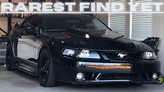 My 2004 Mustang GT Best Exterior Mod Yet! (Rare Hunt Begins)