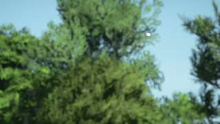 Chipping In an Eagle in PGA Tour 2K21