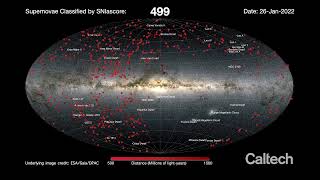 Machine Learning Tools Automatically Classify 1,000 Supernovae