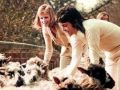 Lovely Linda McCartney :)