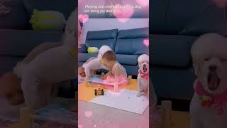 🐶🐶💯💯Most heartwarming \u0026 touching ~ Cute Dogs Accompany Cute Child🥰🥰