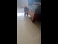 funny cat പൂചയെ ഒന്നു കളിപ്പിച്ച് നോക്കിയപ്പോൾ ....