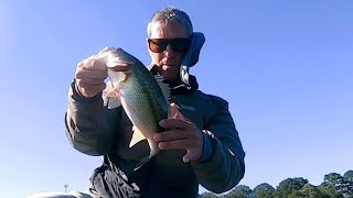 Smashing bass at Logan Martin lake late October 2024