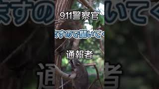 [911電話] アライグマがいると通報してきた男性...意外な結末に！！