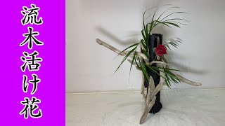 流木で生け花！パート22　流木＋アレカヤシ＋薔薇　【草月流】【ikebana】sougetu／drifwood／arekayasi／bara