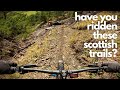 This Scottish MTB destination has just about every type of trail you could imagine!