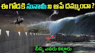 ఈ గోడ కి సునామి ని ఆపే దమ్ముందా  | Japan Sea Walls In Telugu