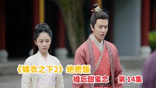 《锦衣之下2》绝密版之婚后甜蜜恋 第14集：知晓孩子健康陆绎放心了，陆绎召集下人盘问