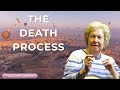 The Truth About Life After Death Will Amaze You  Dolores Cannon