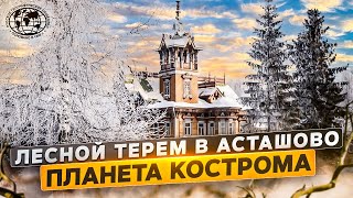 Лесной терем в Асташово. Планета Кострома |  @rgo_films