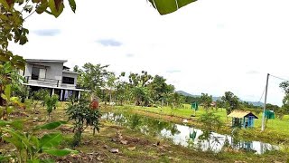 บ้านสวน🏡พื้นที่ 2 ไร่ วิวดี บรรยากาศดี🌾วิวทุ่งนา ภูเขา