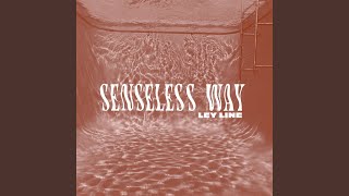 Senseless Way (Public Hi-Fi)