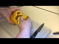 cutco 4” paring knife cutting a bell pepper