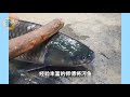 全网三大“生吃”美食：两广老表馋得五迷三道！寄生虫都甘拜下风