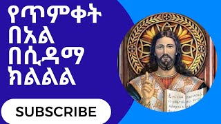 የጥምቀት የከተራ በአል አከባበር በሲዳማ ክልል በአፖስቶ ምስራቀ ፀሀይ ቅድስት ስላሴ ቤተክርስቲያን ታቦቱ ወደ ጥምቀተ ባህር ሲወርድ