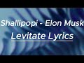 Shallipopi - Elon Musk || Levitate Lyrics