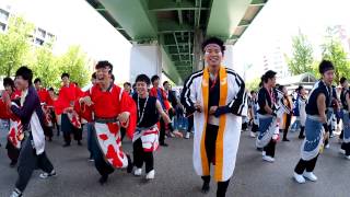 わいわい若宮2015OP総踊り