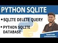 SQLite DELETE Query | Python SQLite | Python Database Tutorial for Beginners in Hindi