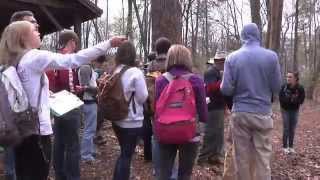 Using all your senses to learn botany