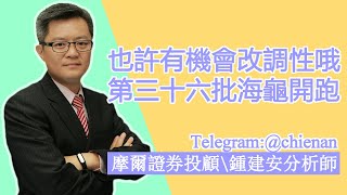 20200305-鍾建安盤中點評-也許今日真有機會改調性 第三十六批海龜開跑囉