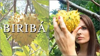 BIRIBÁ | Madame das Frutas